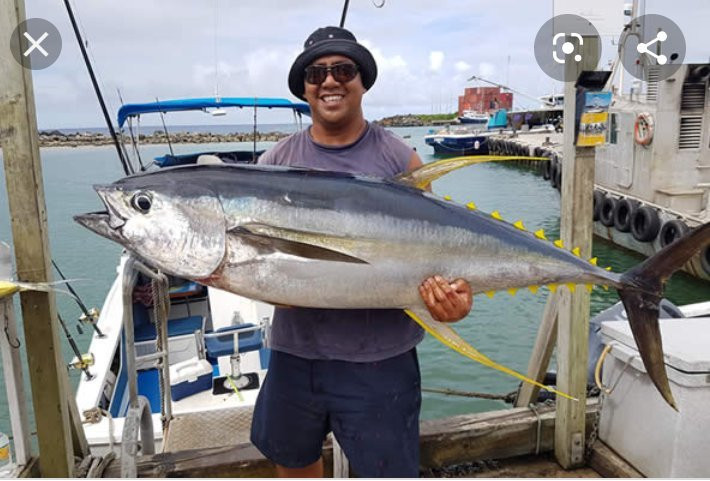 Marlin Queen Fishing Charters-拉罗汤加必去景点