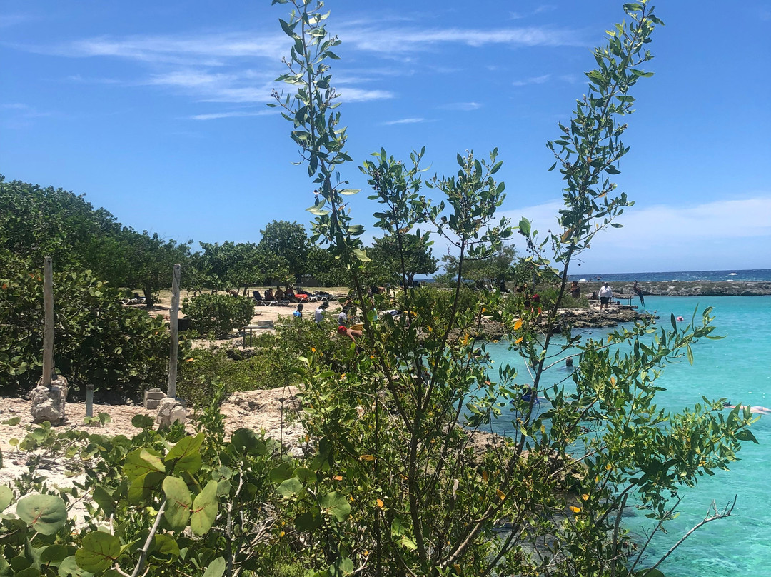 Caleta Buena景点图片