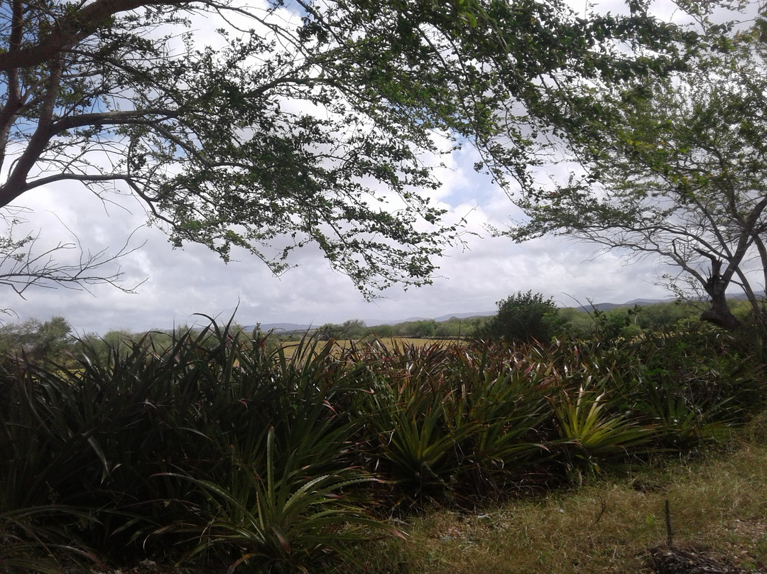 Santa Lucia旅游攻略图片