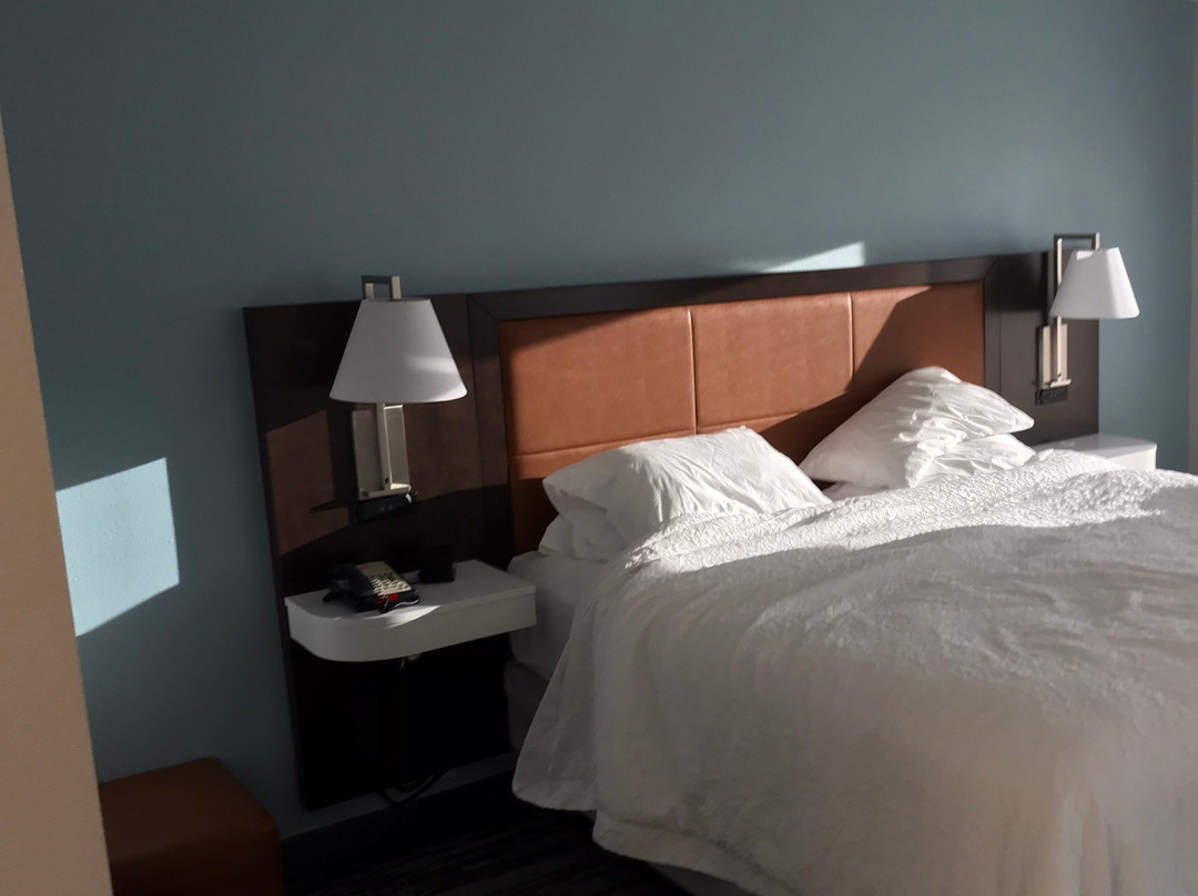 巴拿马城海滩码头公园区希尔顿恒庭旅馆&套房酒店主图