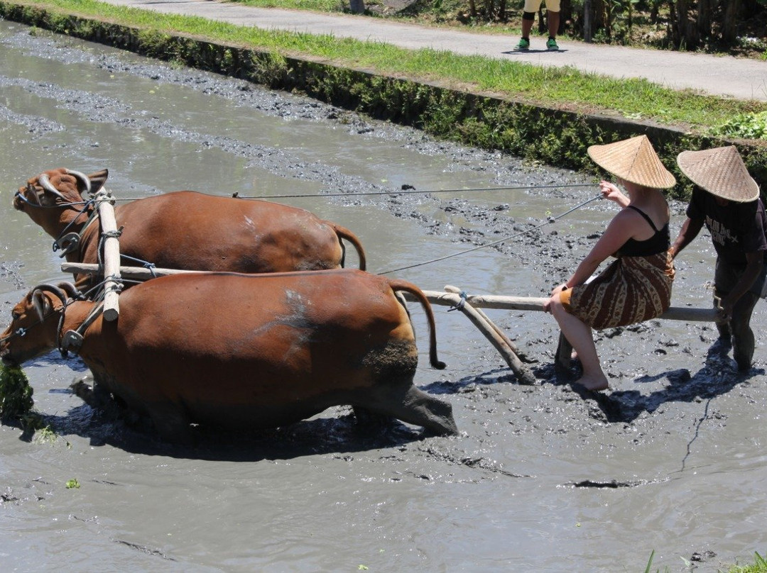 Taman Sari Buwana-达巴南必去景点