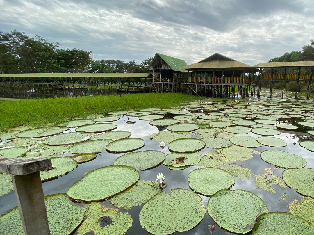 El Jardin de la Victoria Regia景点图片