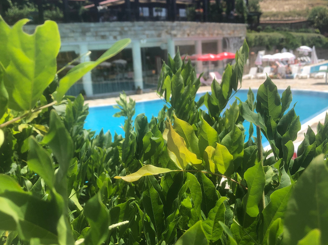 Glavatarski Han主图