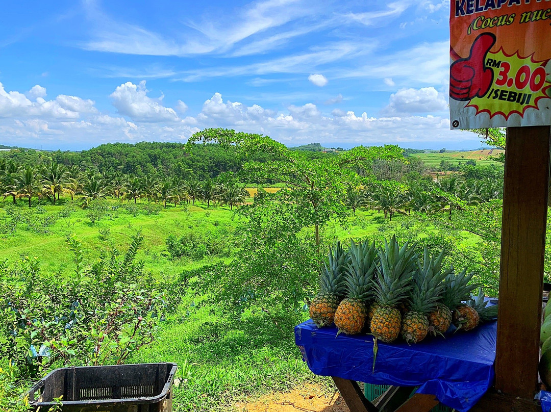 Selangor Fruits Valley-万挠必去景点