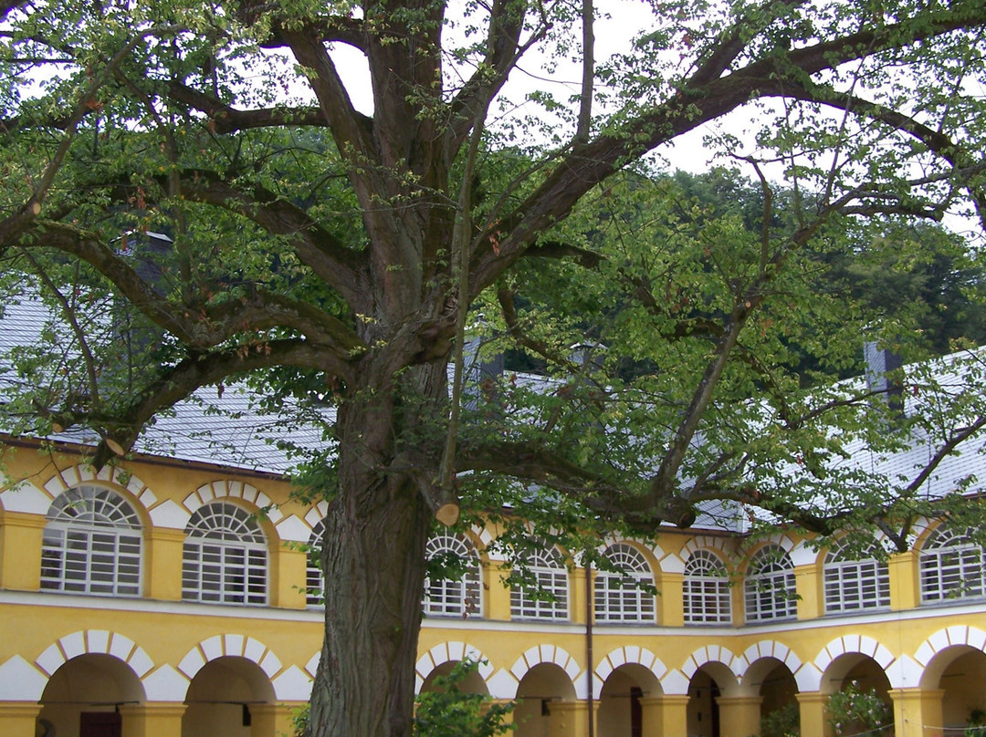 National Castle Velke Losiny景点图片