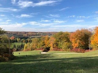 Glen Eden-Milton必去景点