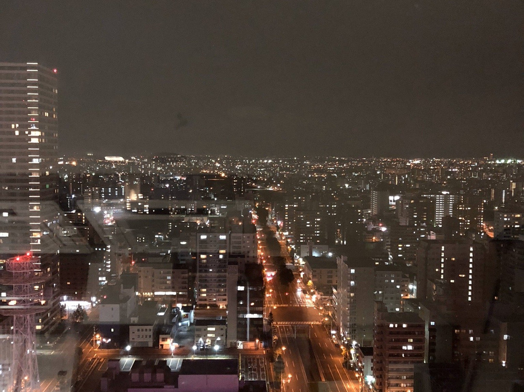 札幌电视塔景点图片