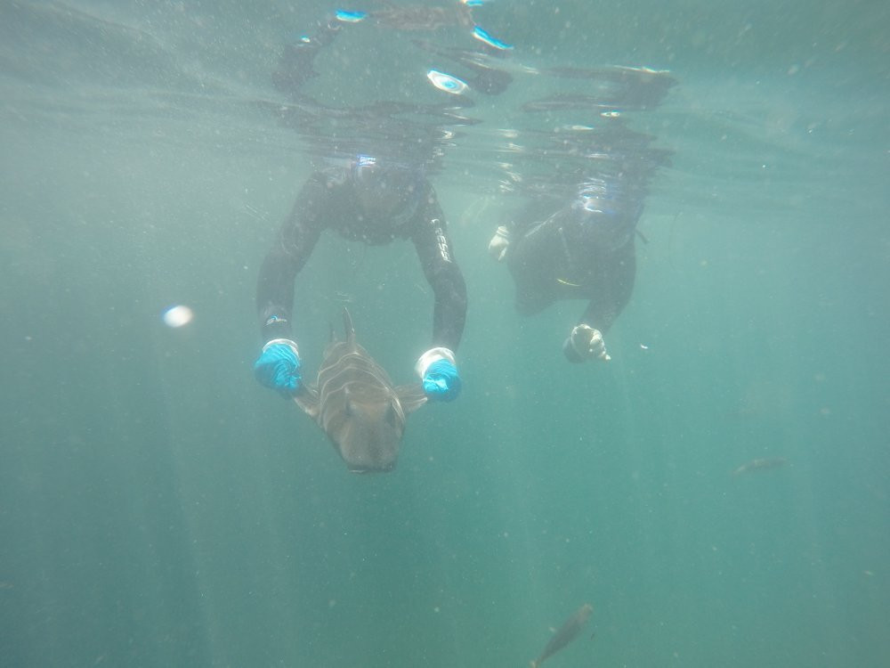 Oceanic Victor-维克多港必去景点