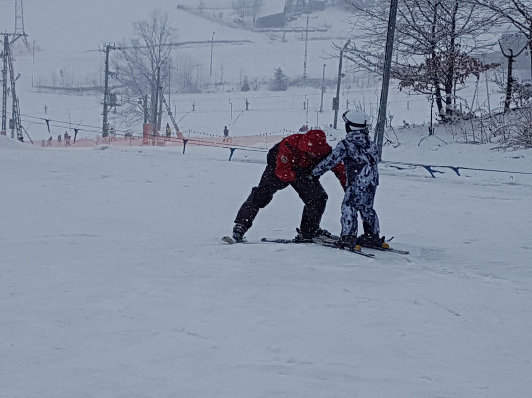 Ski Lift UFO景点图片