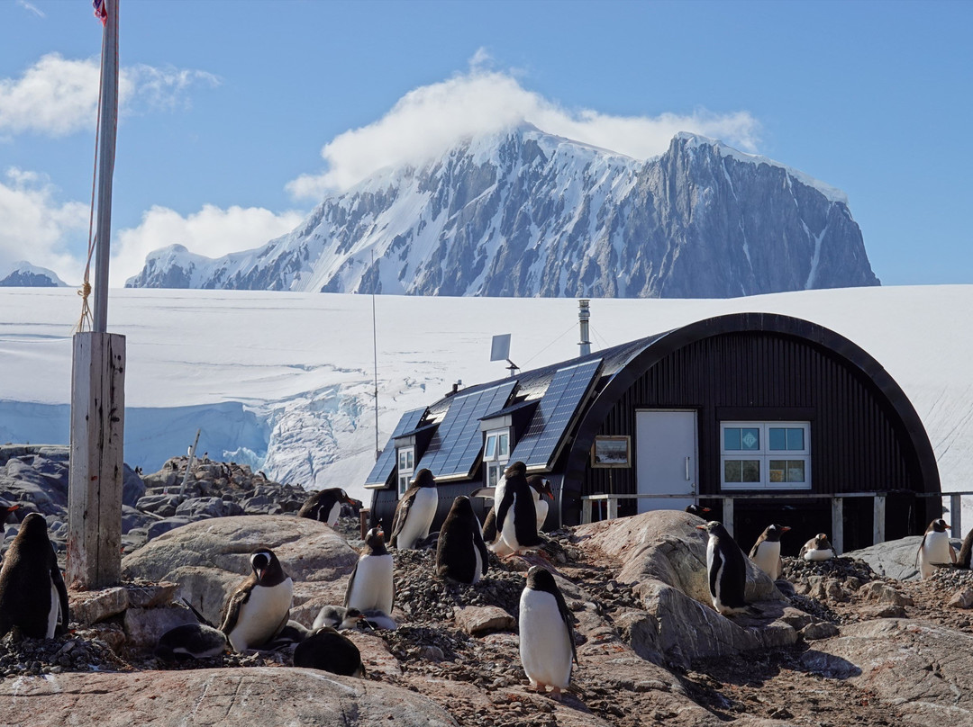 New Bransfield House-Port Lockroy必去景点