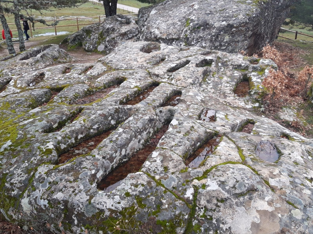 Necropolis de Cuyacabras景点图片