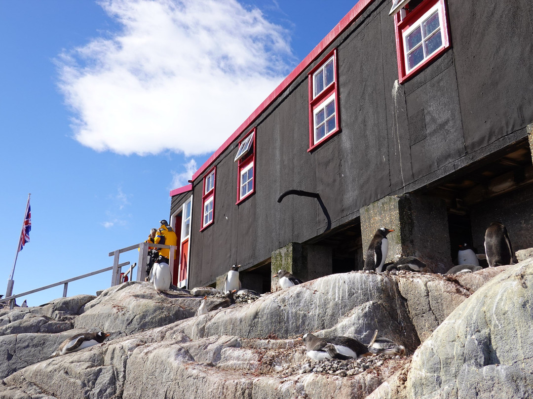 New Bransfield House-Port Lockroy必去景点
