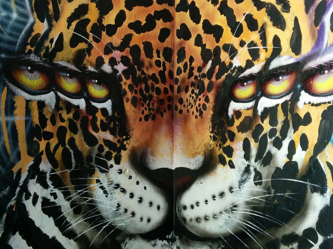 Tingua Hidden Journeys-波哥大必去景点