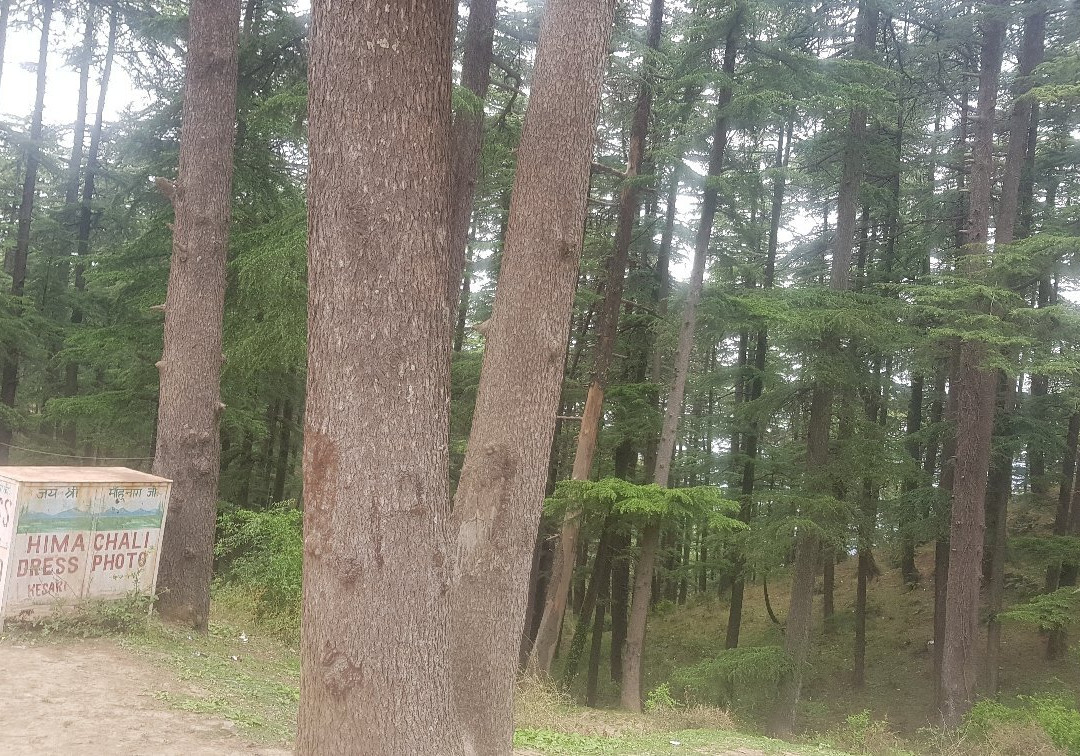 Naldehra Golf Course景点图片
