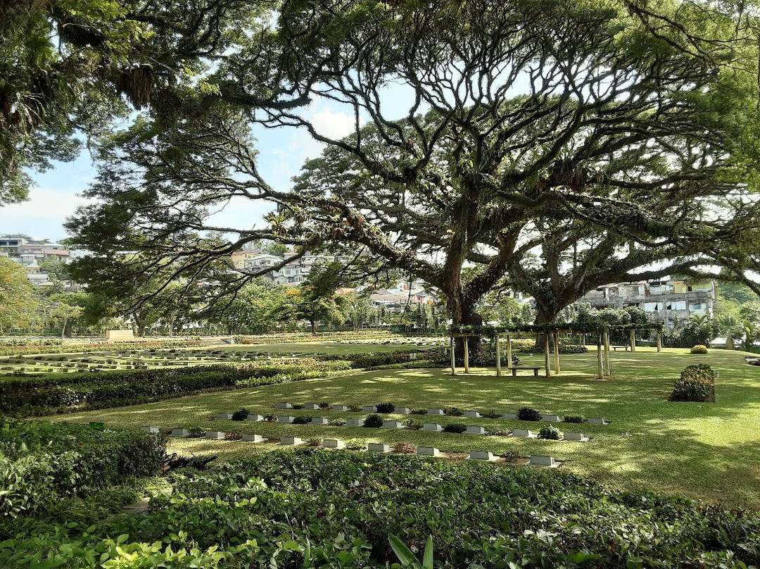 Commonwealth War Cemetery-安汶必去景点