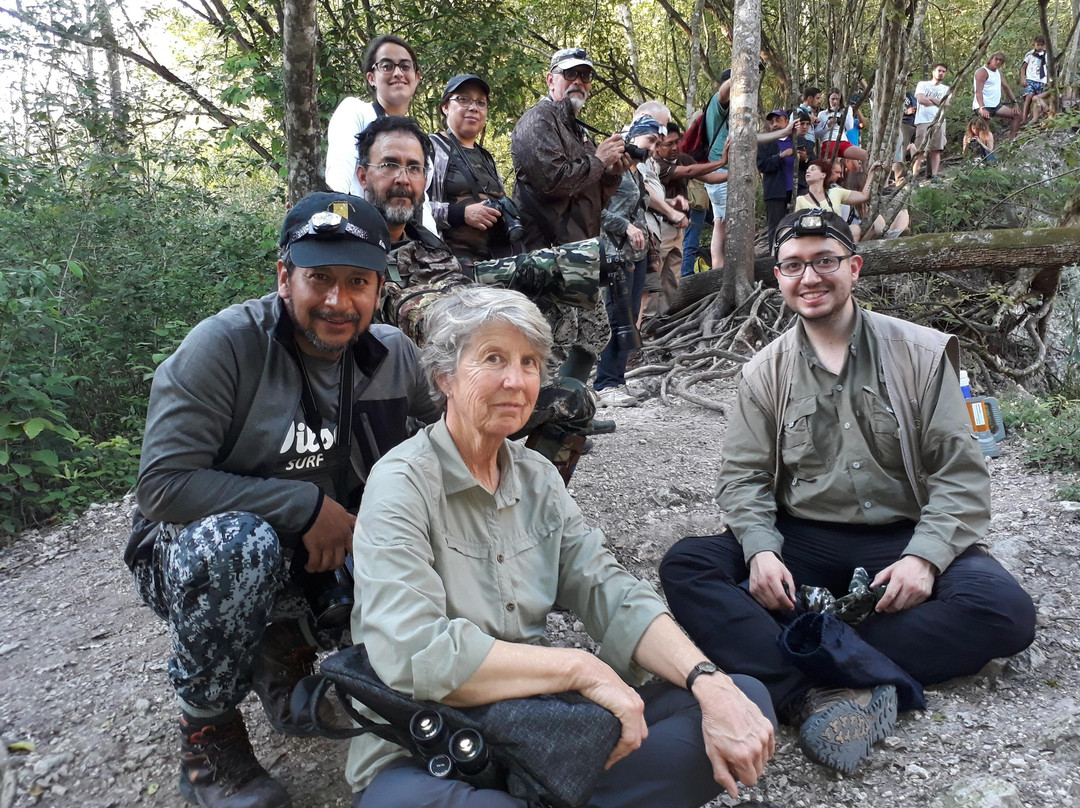 Ichi Wildlife Tours-巴利亚多利德必去景点