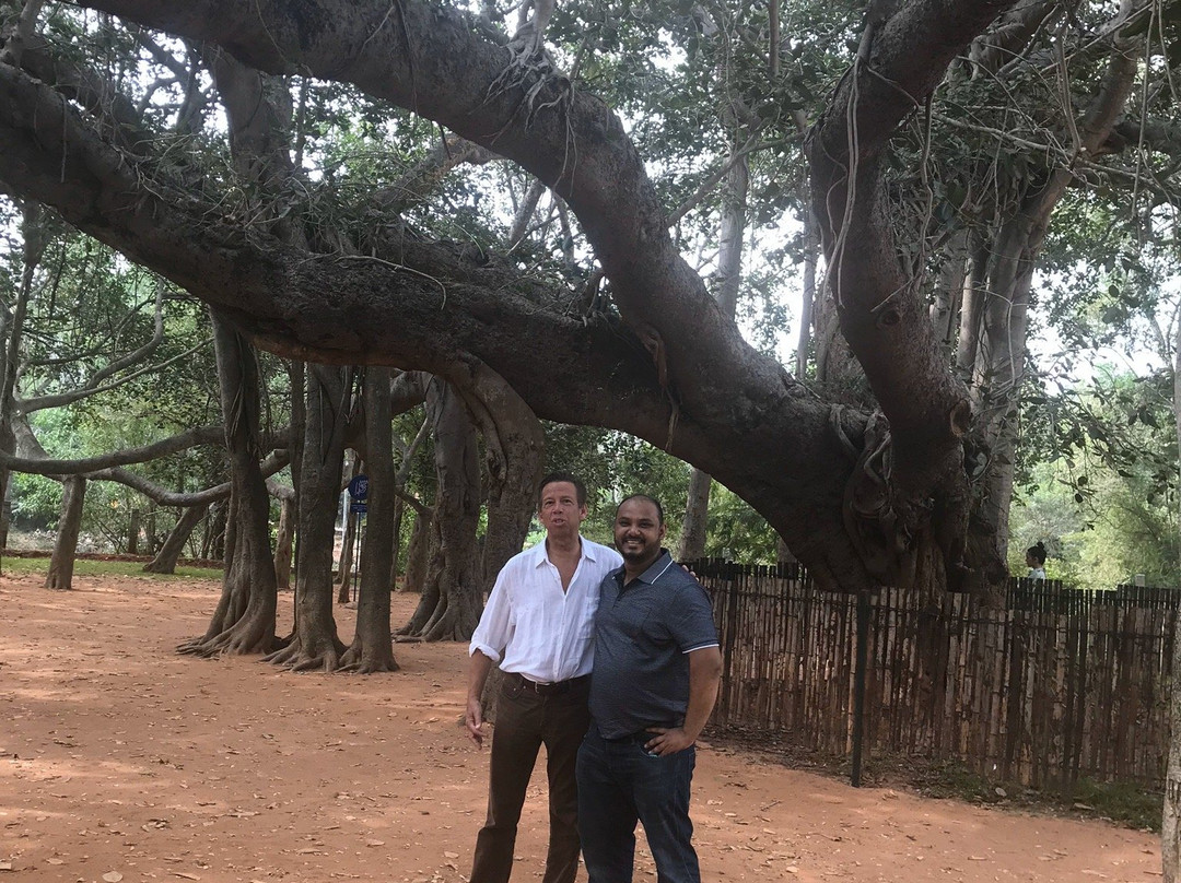 Auroville Visitors Center景点图片