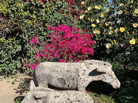 Ixtlahuacan de los Membrillos旅游攻略图片