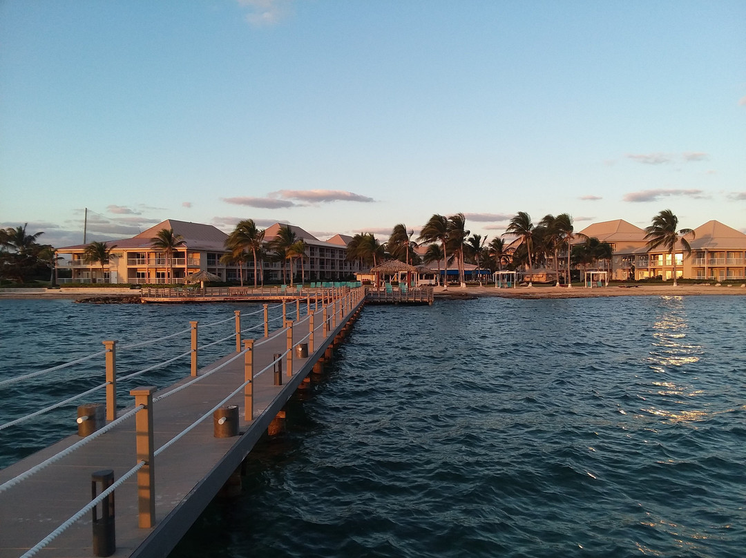 Captain Ron's Diving-Norristown必去景点