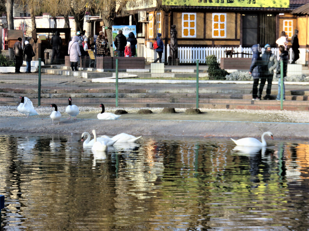 Park of Revolution (Park Oktyabrskoii Revolutsii)景点图片