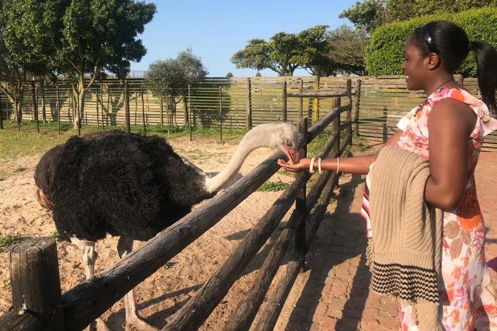 AIM CAPE TOURS(Pty)Ltd-开普敦中心区必去景点