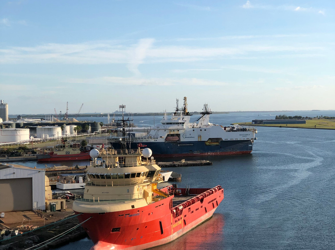 Port Tampa Bay-坦帕必去景点