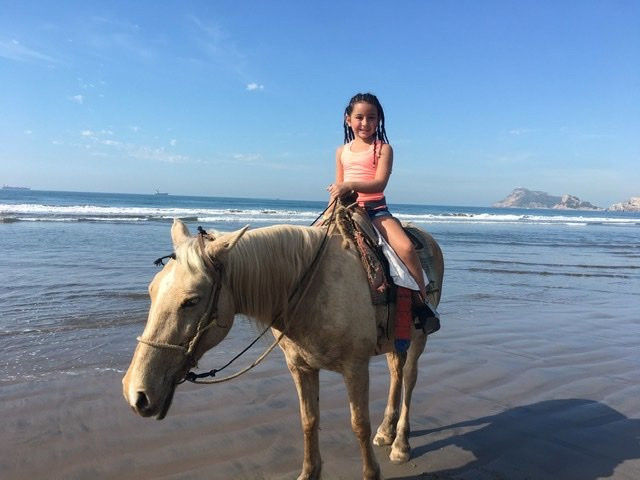 Maria's Happy Horses景点图片
