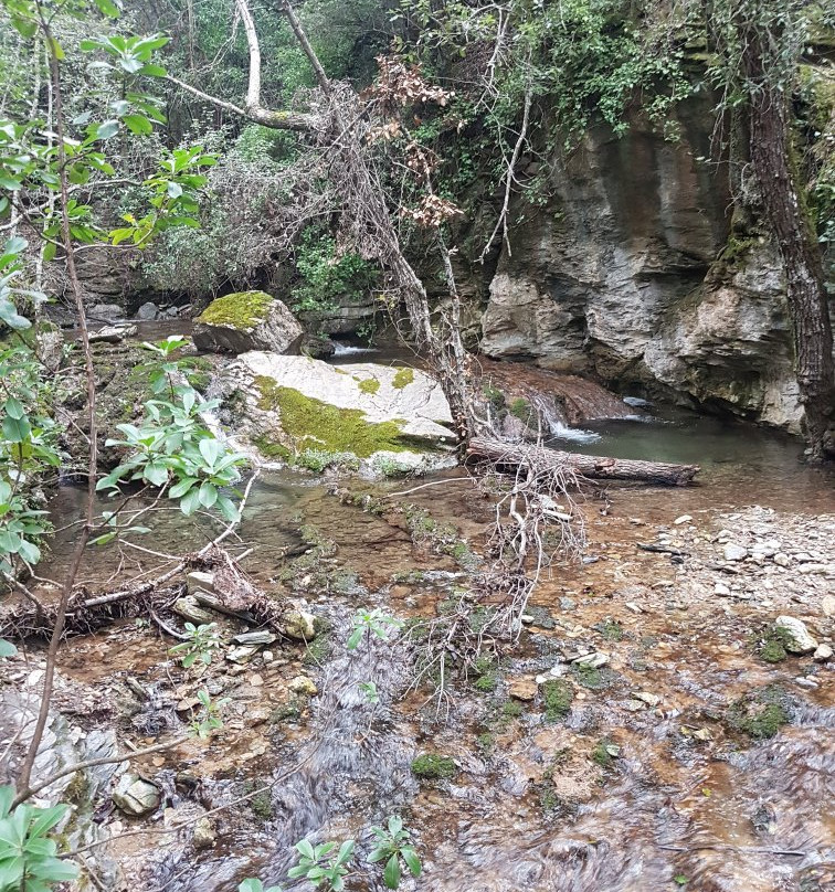 Foresta di Montarbu-Seui必去景点