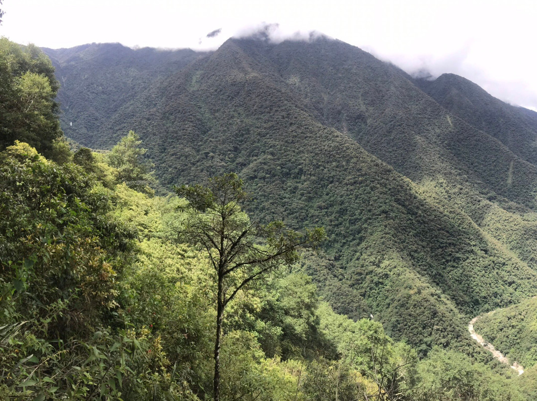 El Choro Trail-拉巴斯必去景点