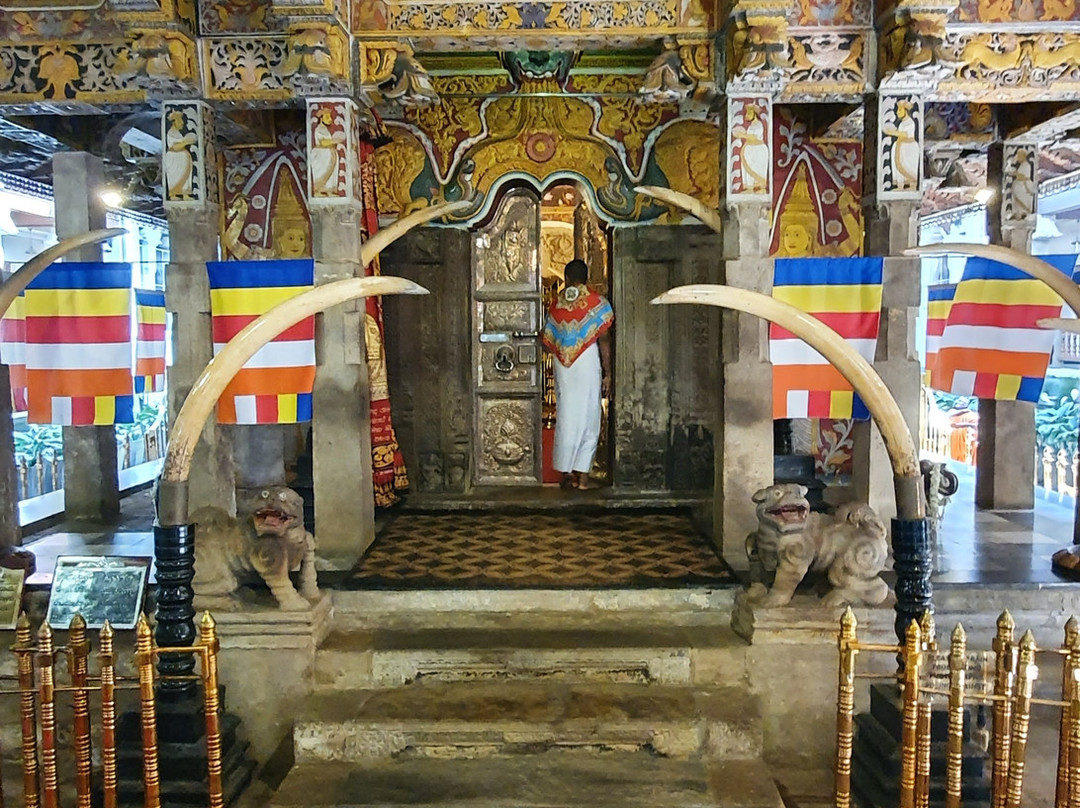 Thush Tours Sri Lanka景点图片