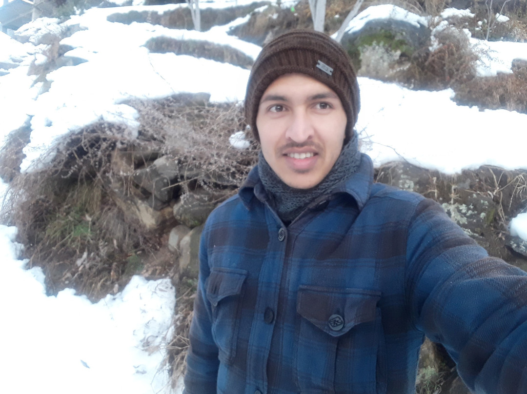 The Happy Host主图