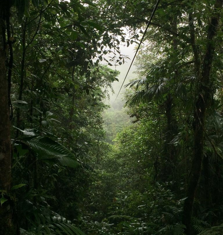 San Luis Canopy Tour景点图片