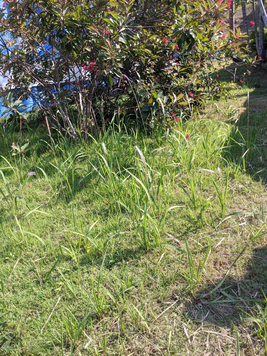 象岛艾雅普拉酒店-浴室