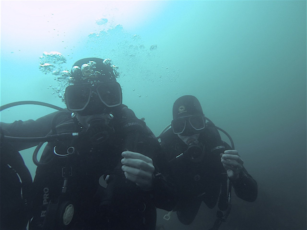 Atacama Diving. Centro de Buceo-Bahia Inglesa必去景点