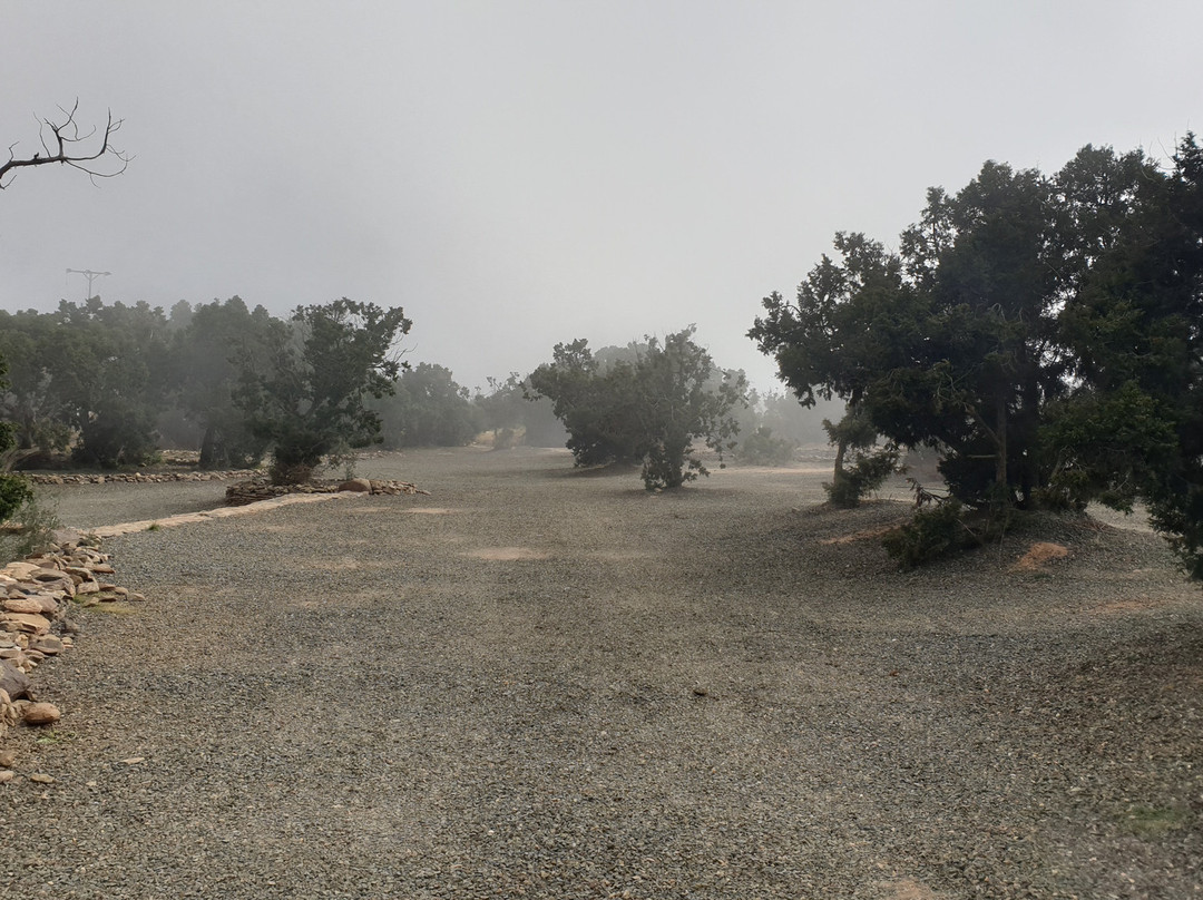 Asir National Park-Abha必去景点