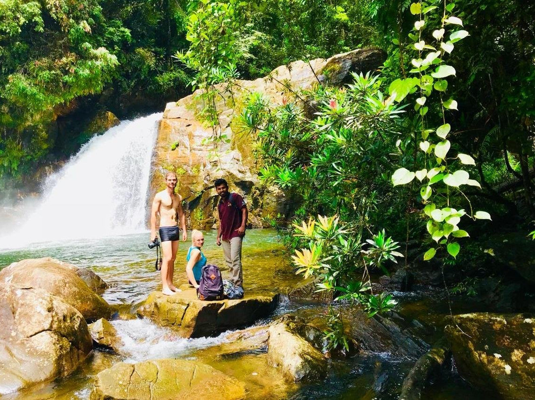 Rainforest Tours (Sinharaja)-Deniyaya必去景点