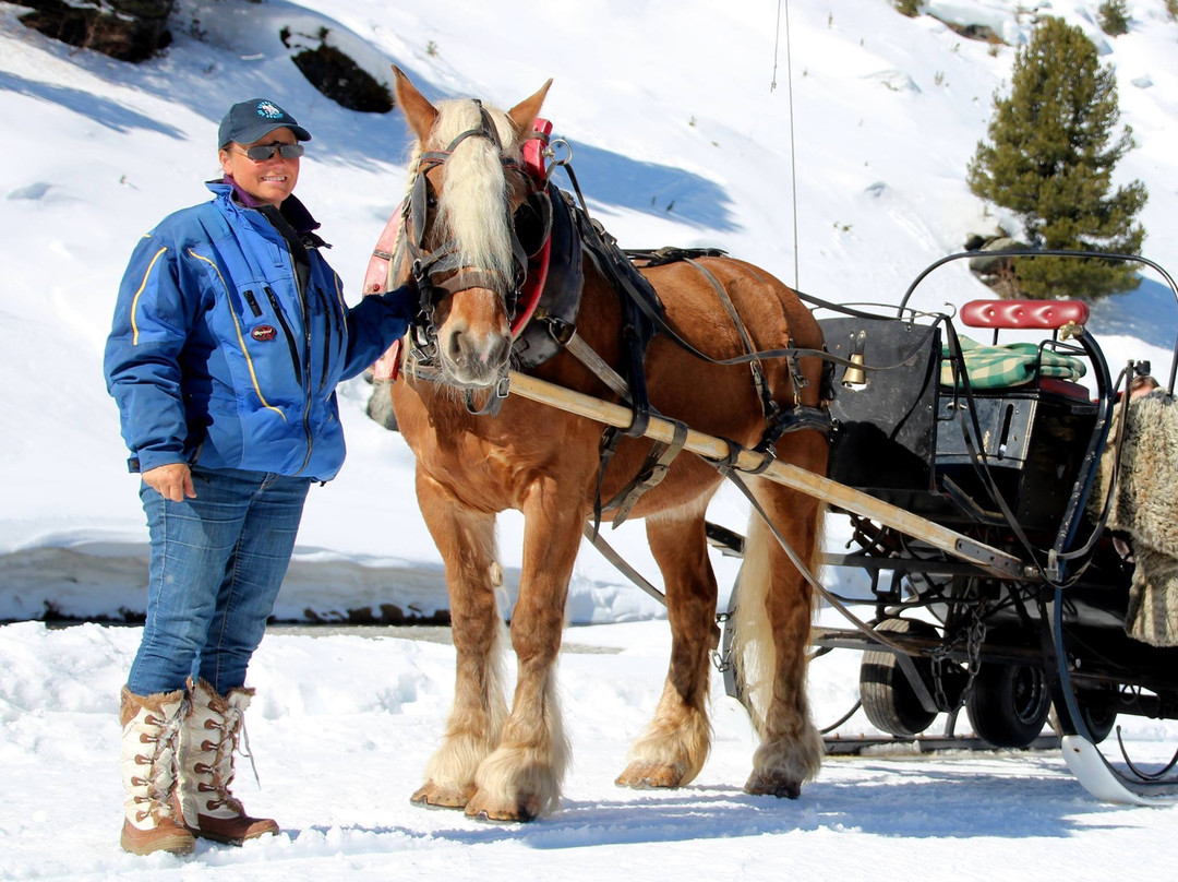 Les Attelages Molinas-La Bathie必去景点