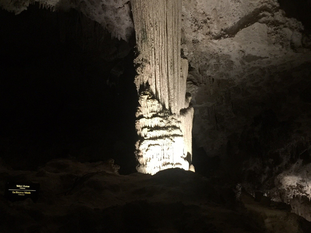 King's Palace-卡尔斯巴德洞穴国家公园必去景点