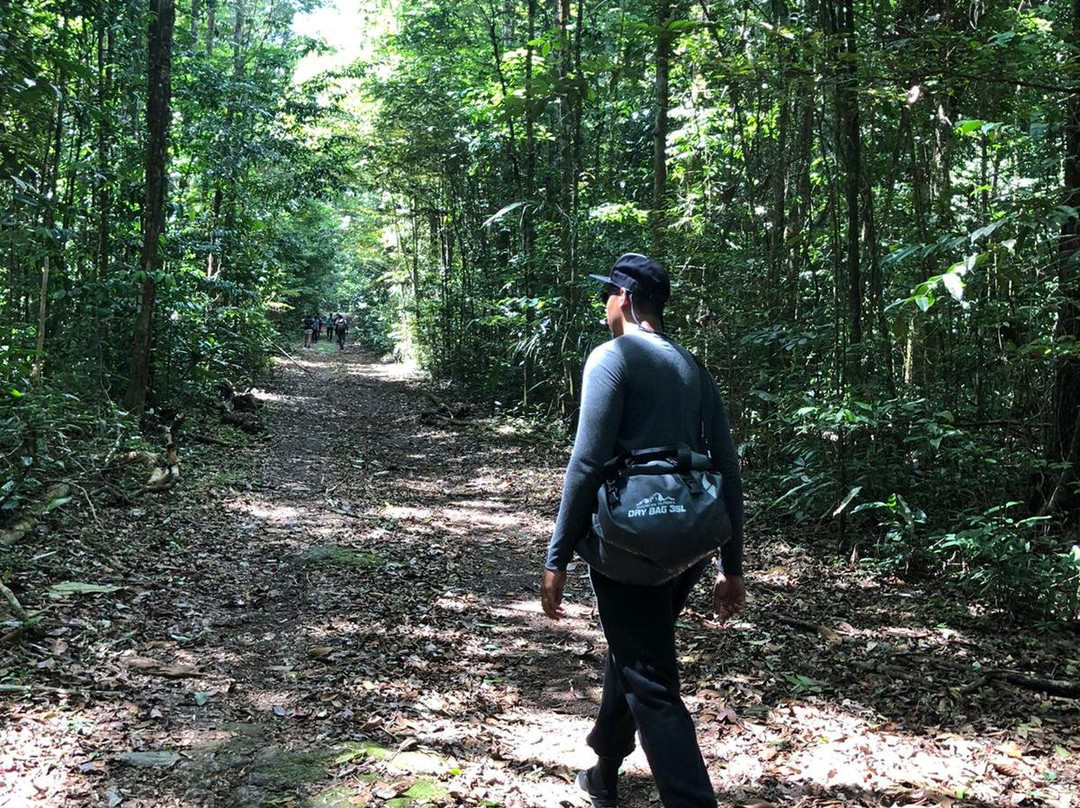 Jungle Xperience Suriname景点图片