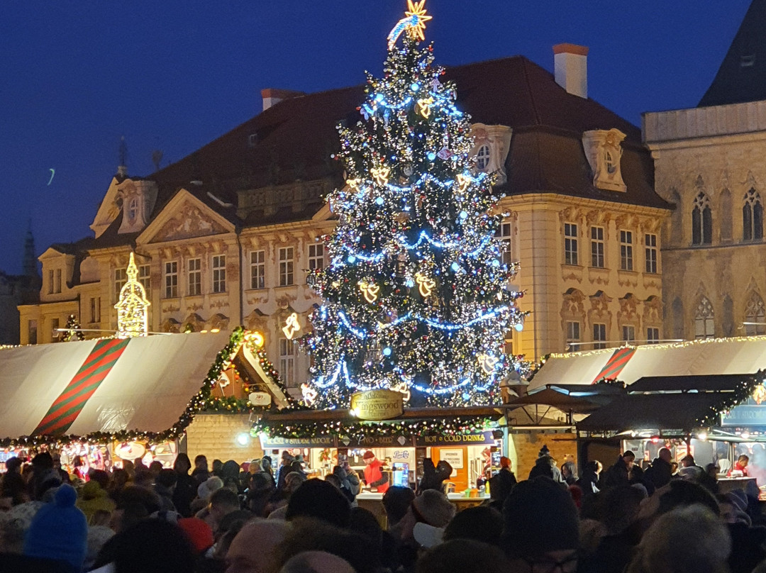 Prague Behind the Scenes Tour-布拉格必去景点