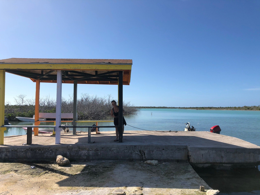 Casuarina Pine Villas主图