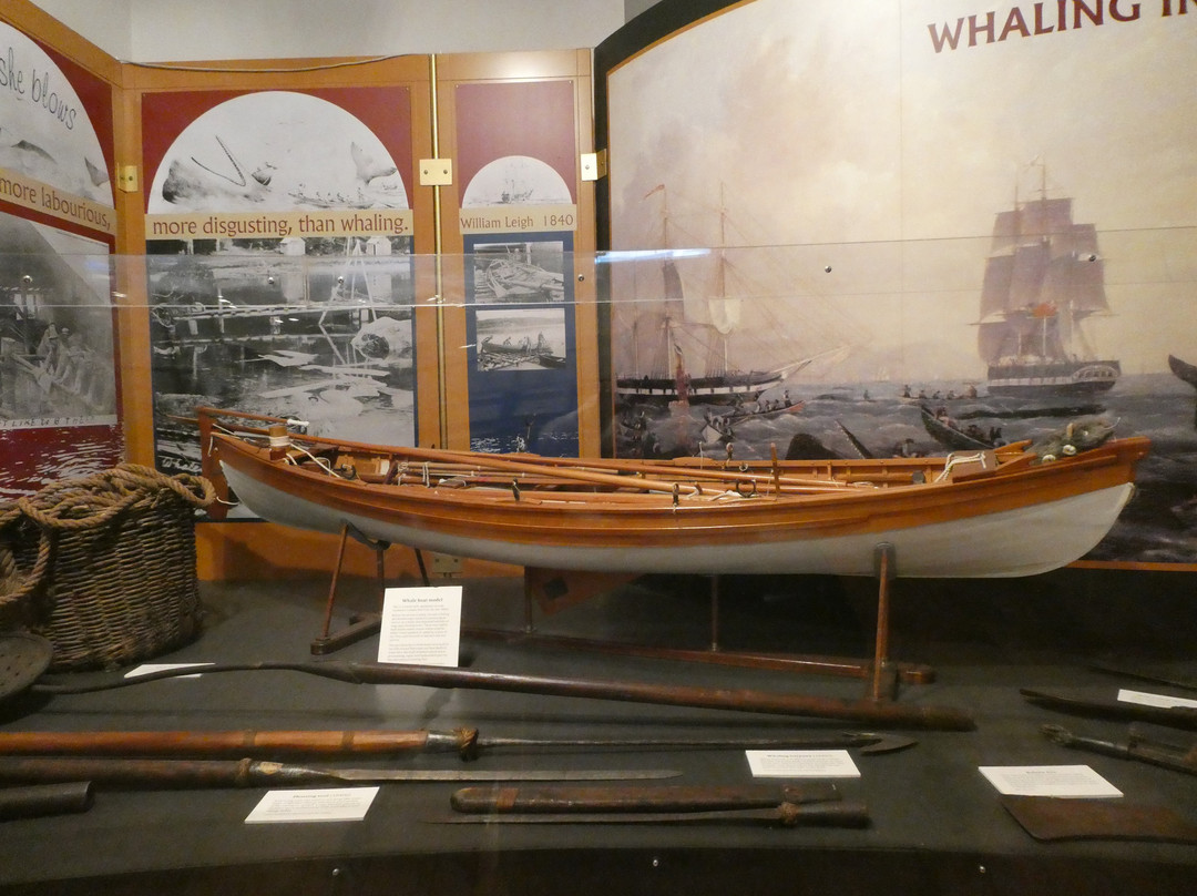 Maritime Museum of Tasmania景点图片