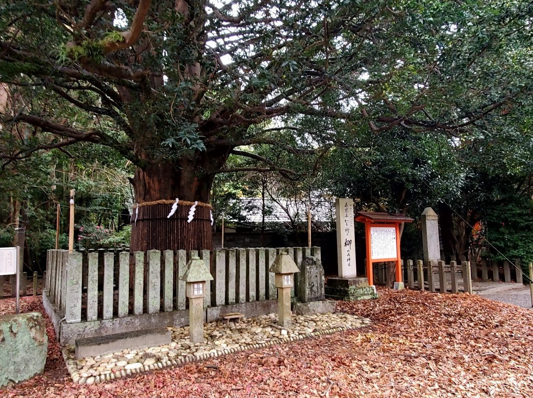 Kumano Hayatama Taisha Oshimboku Nagi-新宫市必去景点