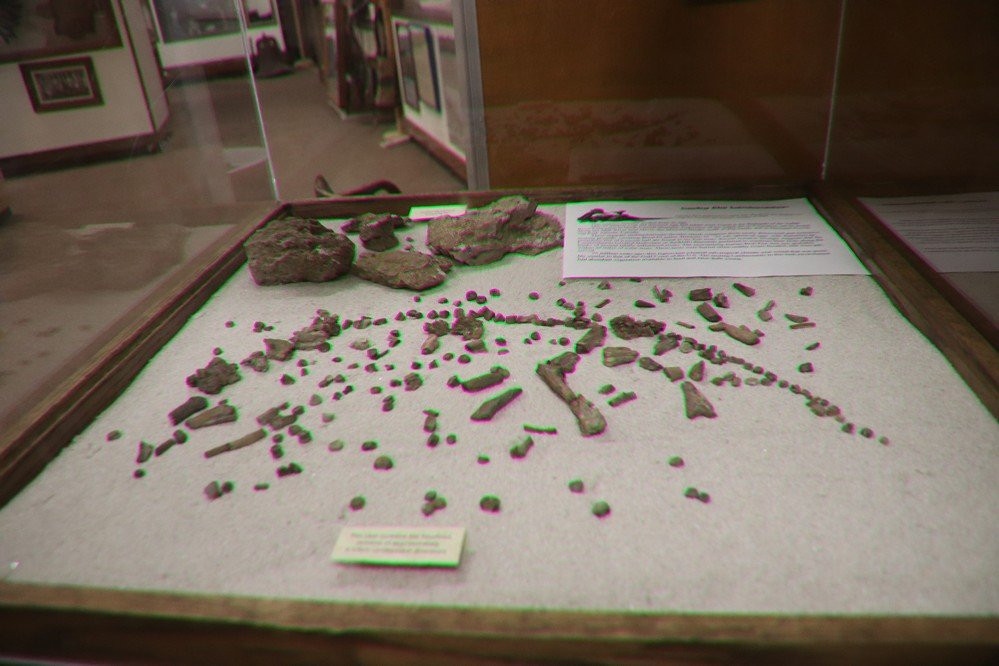 H. Earl Clack Memorial Museum-Havre必去景点