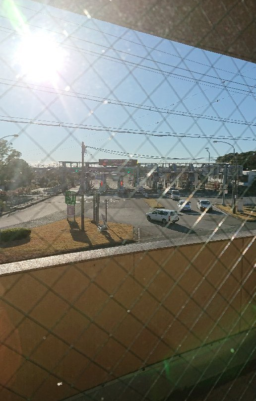 烧津国际酒店酒店路线主图