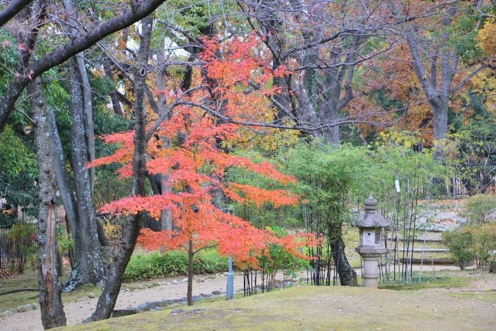Satkai City Japanese Tea Room-坂井市必去景点