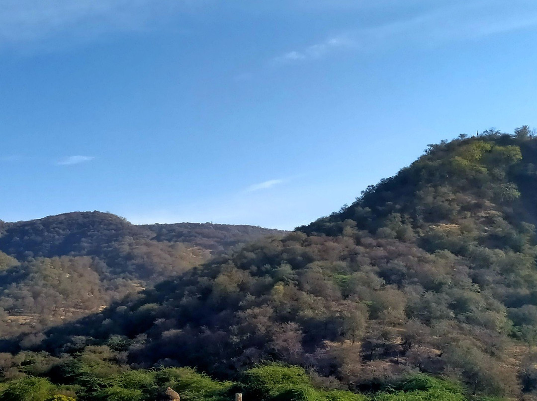 India de Viajes-阿格拉必去景点