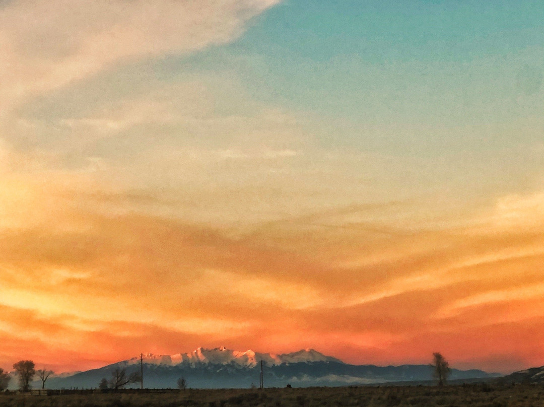 Mountain View Motor Inn主图