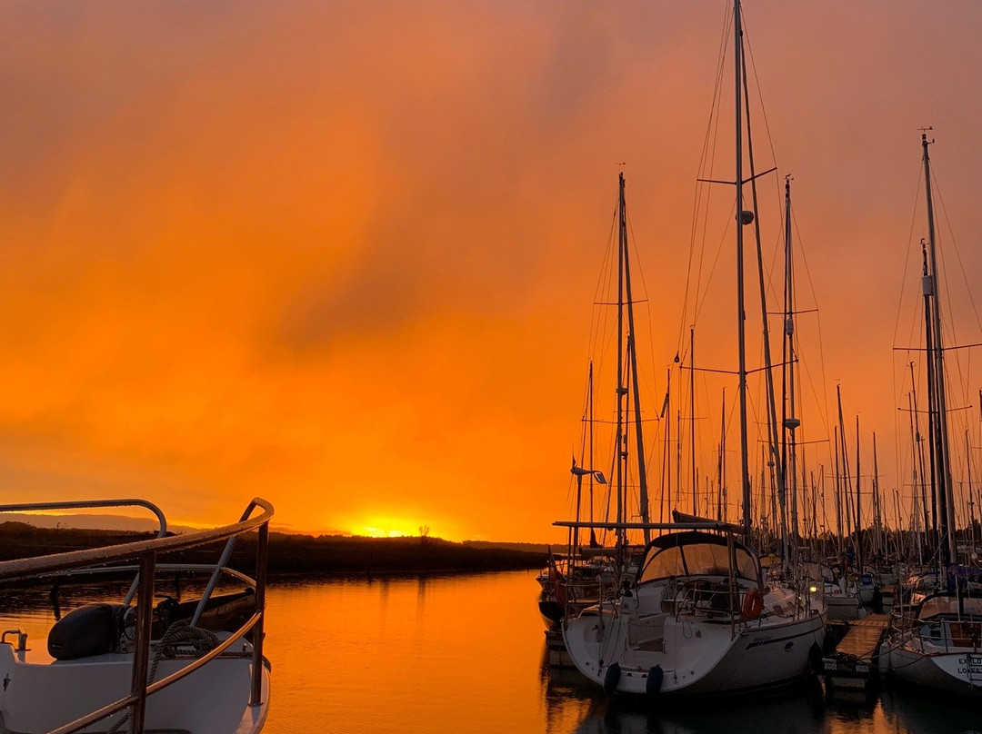 Suffolk Yacht Harbour景点图片