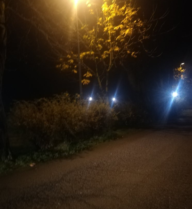 Villa Pindemonte景点图片